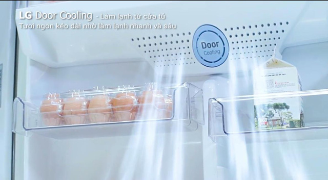 Bạn nên sử dụng tủ lạnh có công nghệ diệt khuẩn