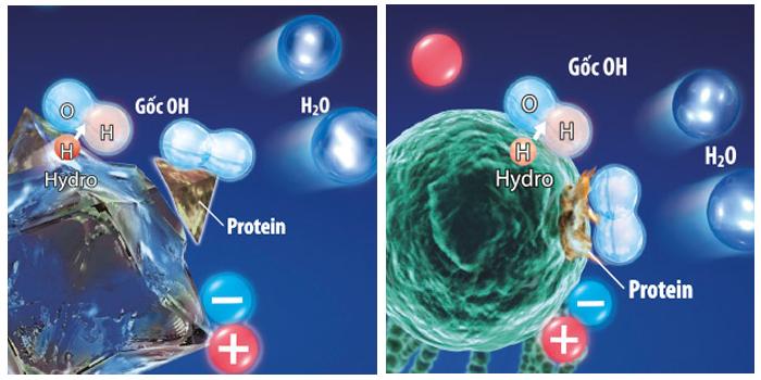 điều hòa midea chính hãng