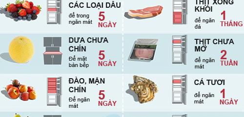 Thời gian bảo quản thực phẩm trong tủ lạnh của một số thực phẩm thông dụng